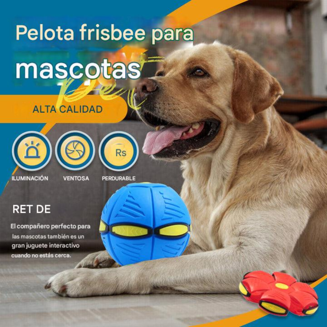 DiscDog® Pelota de Platillo Volador🐶