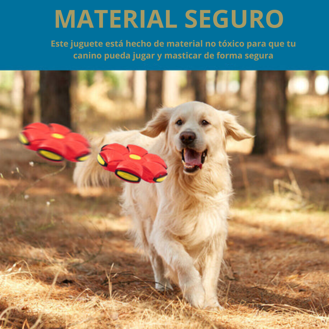 DiscDog® Pelota de Platillo Volador🐶