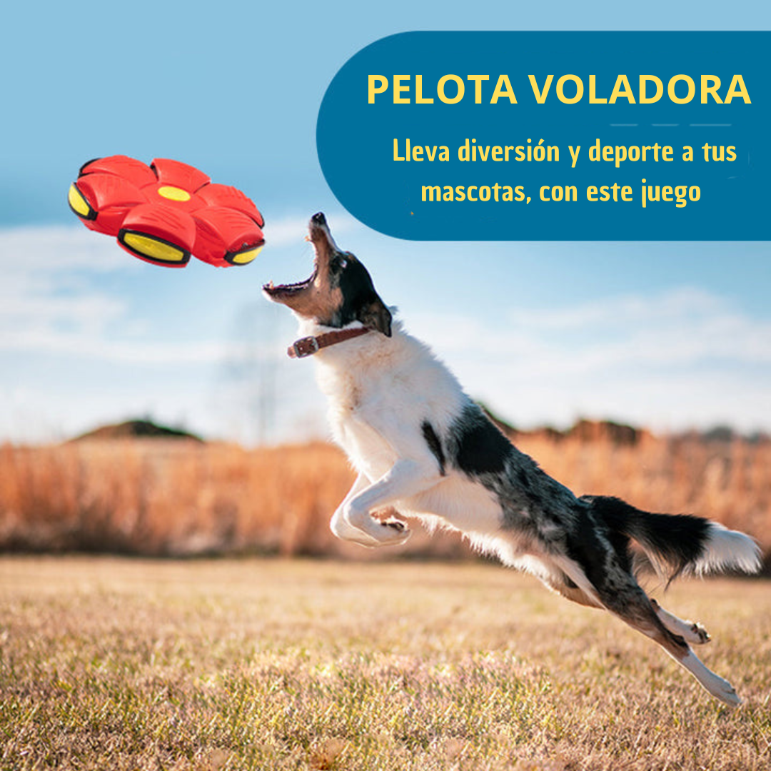 DiscDog® Pelota de Platillo Volador🐶