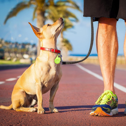 Gps para mascotas